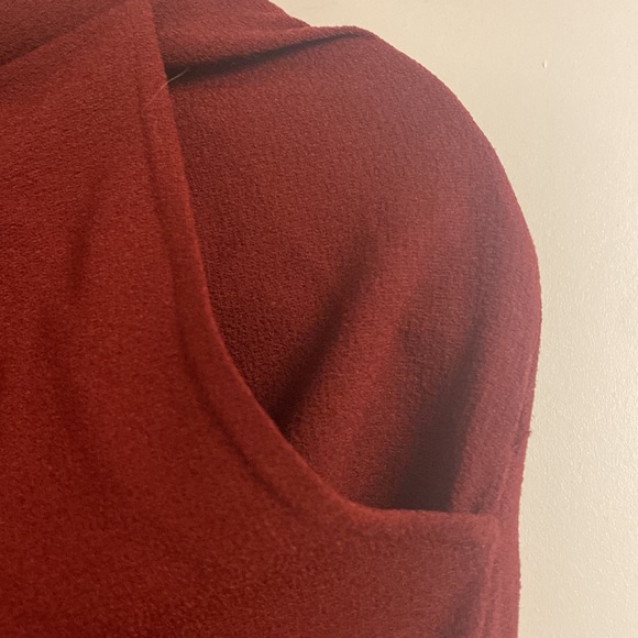 Beautiful rust work pants - American Apparel - Picture 3 of 7